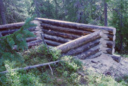 Forstørre bildet av bjørnestillingen rekonstrueringen i 2007.